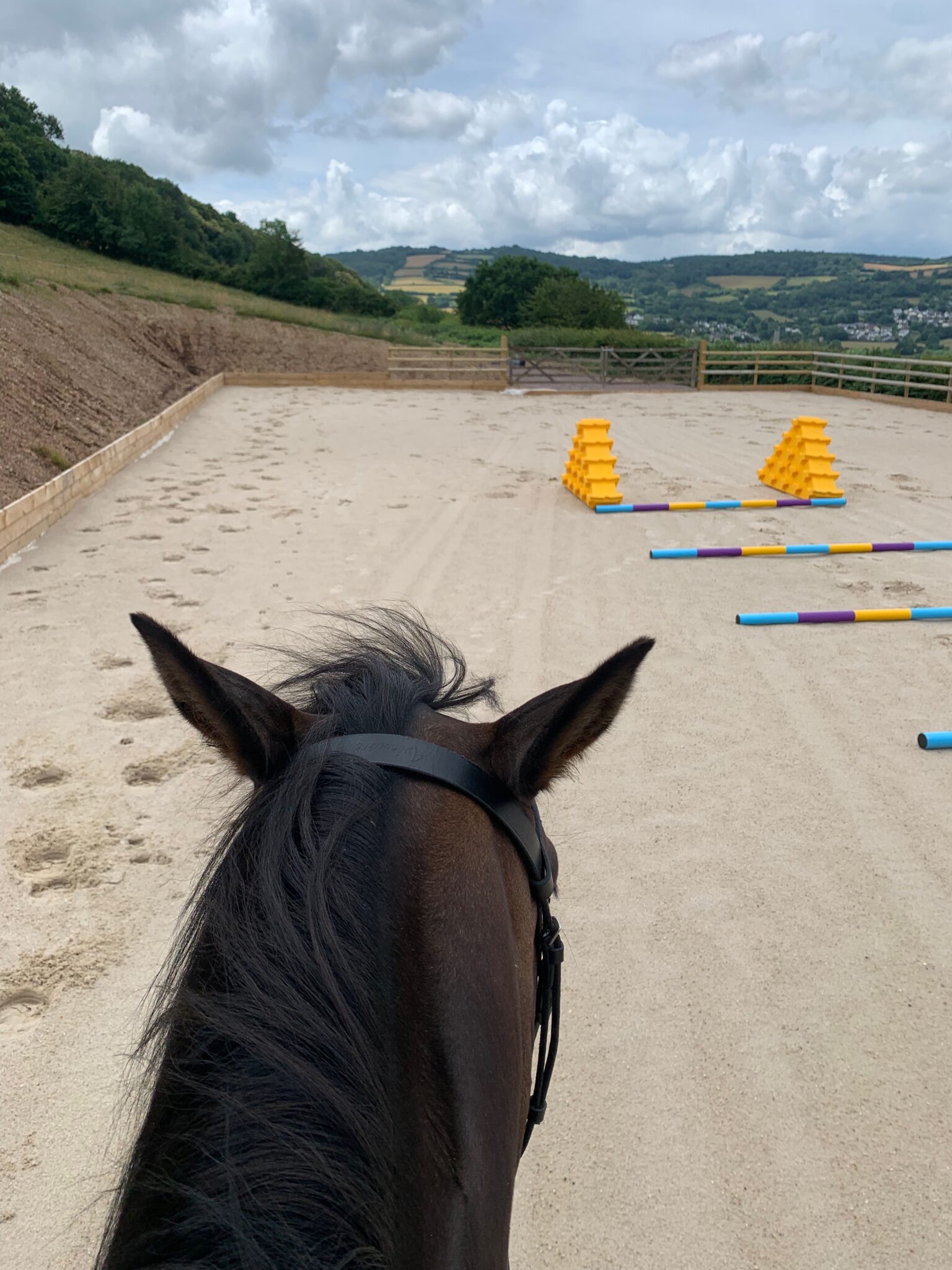 Choosing The Correct Horse Arena Sand Depth | Westcott Sand & Aggregates.